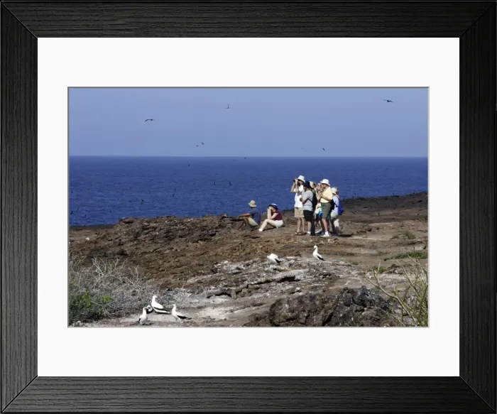 Framed Print : Picture No. 10777971 Framed Print : Picture No. 10777971