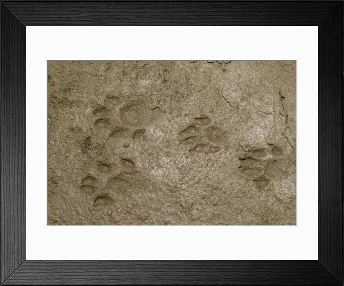 Framed Print : Picture No. 10787262 Framed Print : Picture No. 10787262