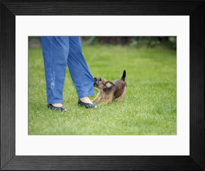 Framed Print : Picture No. 10791957 Framed Print : Picture No. 10791957