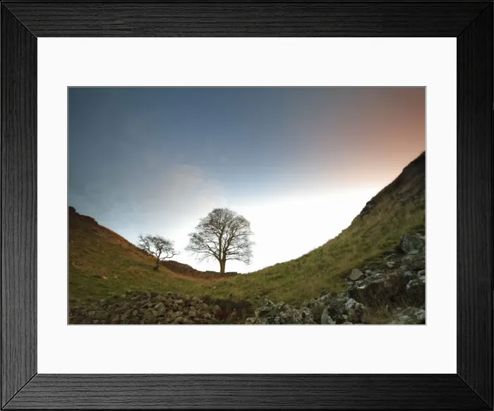 Framed Print : Picture No. 10790752 Framed Print : Picture No. 10790752