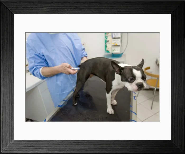 Framed Print : Picture No. 10776610 Framed Print : Picture No. 10776610