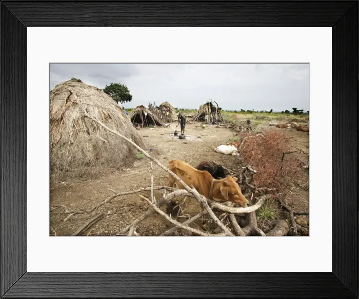 Framed Print : Picture No. 10778986 Framed Print : Picture No. 10778986