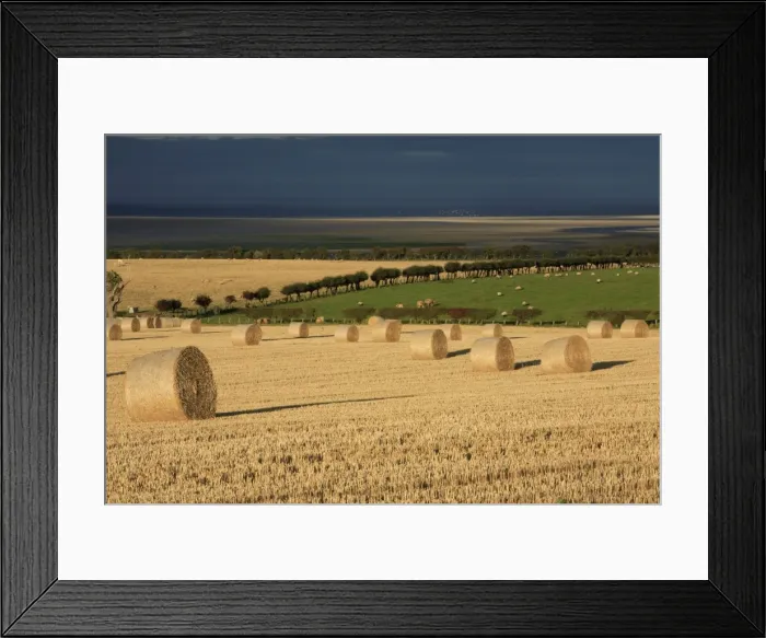 Framed Print : Picture No. 10790718 Framed Print : Picture No. 10790718