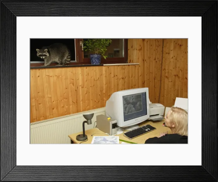 Framed Print : Picture No. 10788844 Framed Print : Picture No. 10788844