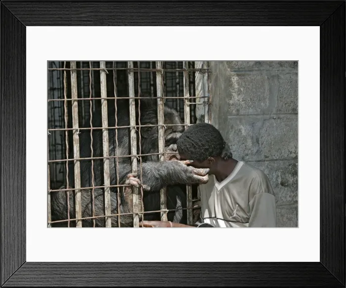 Framed Print : Picture No. 10787412