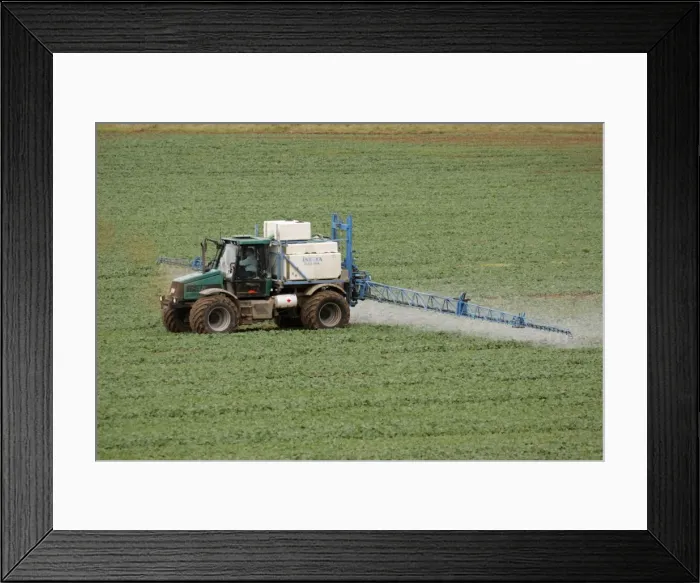 Framed Print : Picture No. 10788879 Framed Print : Picture No. 10788879