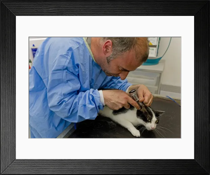Framed Print : Picture No. 10776566 Framed Print : Picture No. 10776566
