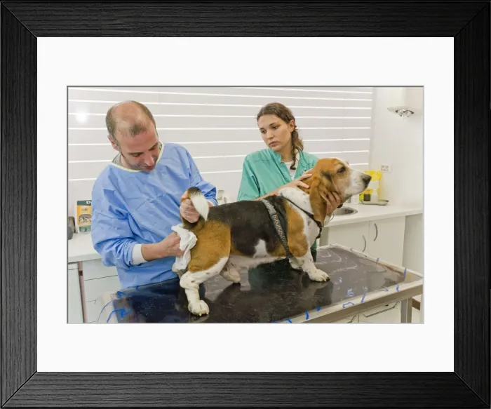 Framed Print : Picture No. 10776588 Framed Print : Picture No. 10776588