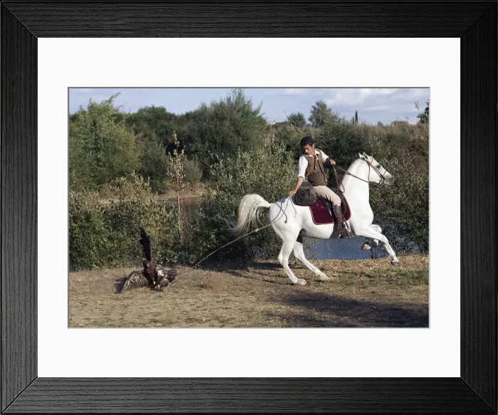 Framed Print : Picture No. 10787278