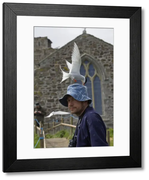 Framed Print : Picture No. 10789677 Framed Print : Picture No. 10789677