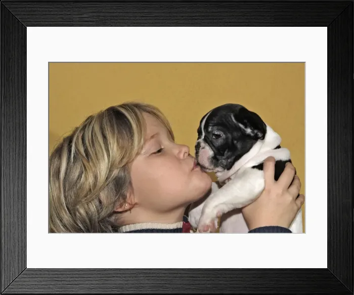 Framed Print : Picture No. 10777564 Framed Print : Picture No. 10777564