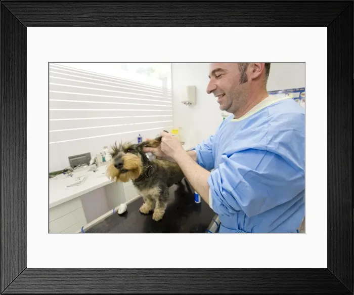 Framed Print : Picture No. 10776580 Framed Print : Picture No. 10776580