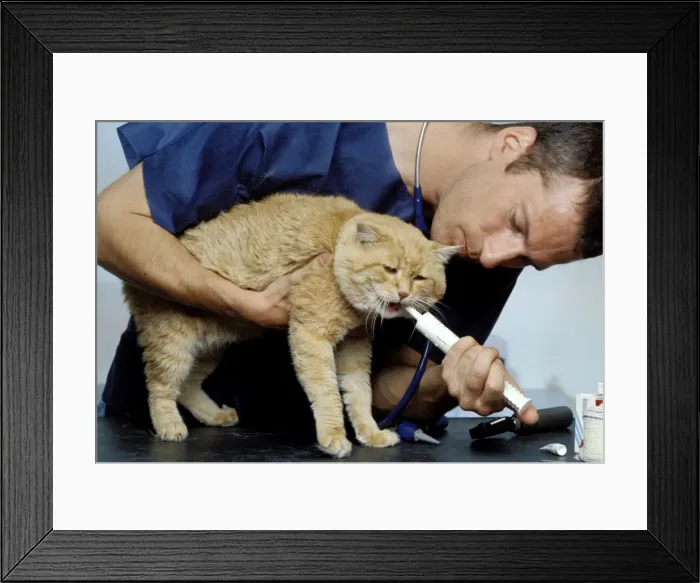 Framed Print : Picture No. 10775417 Framed Print : Picture No. 10775417