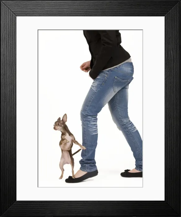 Framed Print : Picture No. 10775903