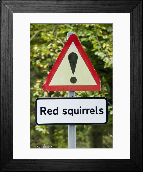 Framed Print : Picture No. 10790072 Framed Print : Picture No. 10790072