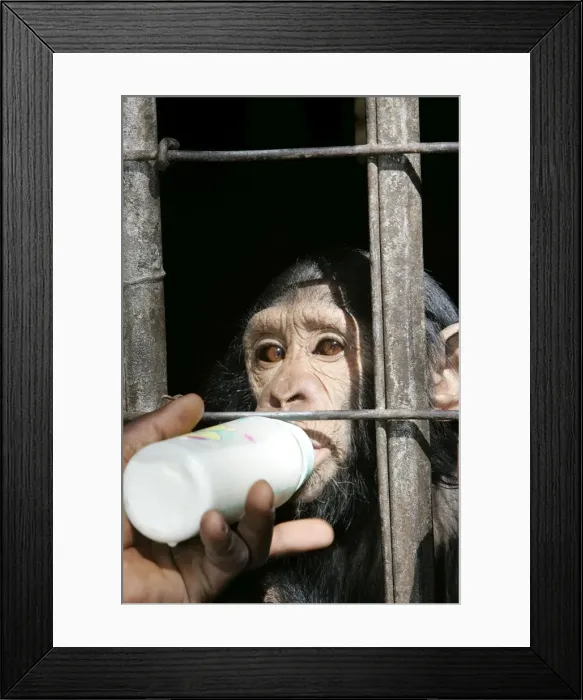 Framed Print : Picture No. 10787337 Framed Print : Picture No. 10787337