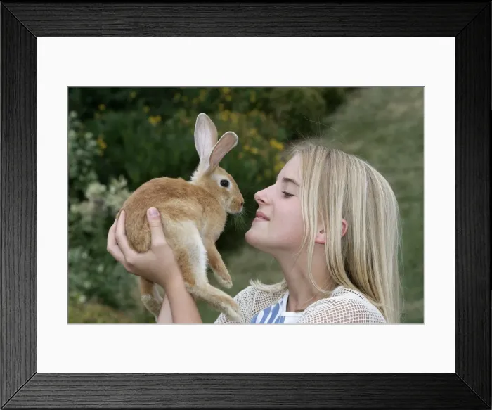 Framed Print : Picture No. 10787318 Framed Print : Picture No. 10787318