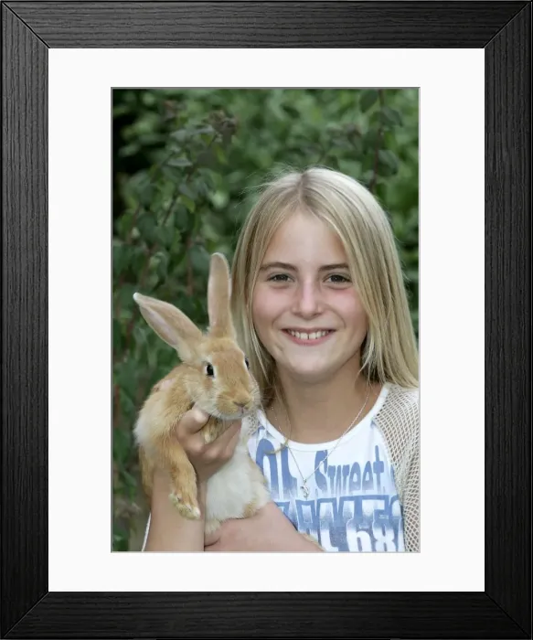 Framed Print : Picture No. 10787319 Framed Print : Picture No. 10787319
