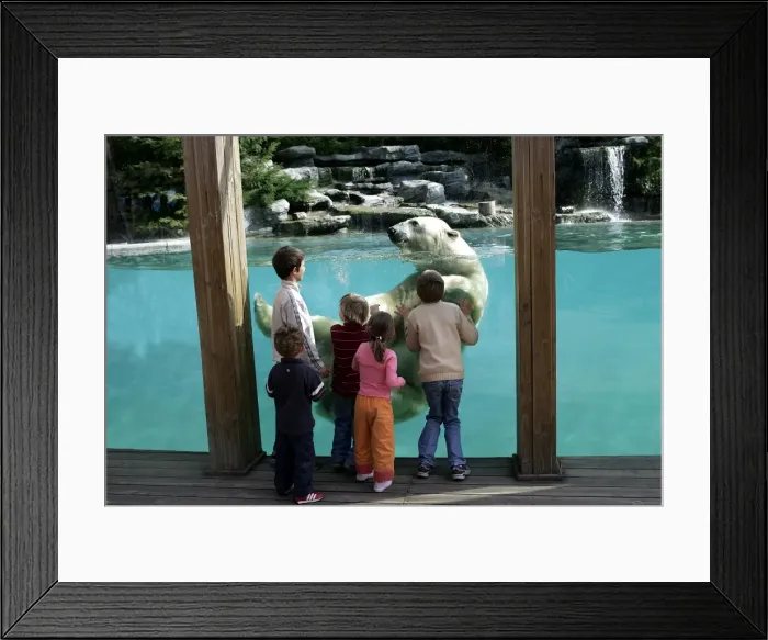 Framed Print : Picture No. 10787293 Framed Print : Picture No. 10787293