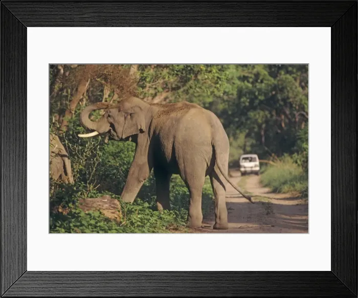 Framed Print : Picture No. 10788435 Framed Print : Picture No. 10788435
