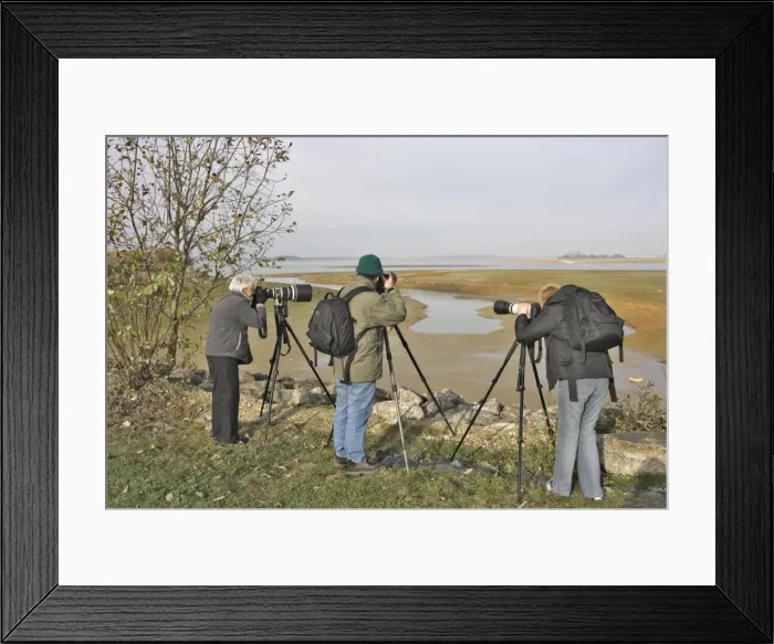 Framed Print : Picture No. 10777584 Framed Print : Picture No. 10777584