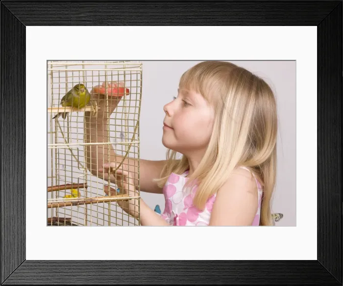 Framed Print : Picture No. 10777369 Framed Print : Picture No. 10777369