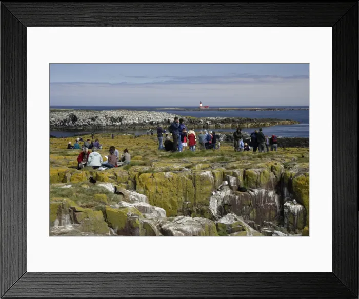 Framed Print : Picture No. 10789675 Framed Print : Picture No. 10789675