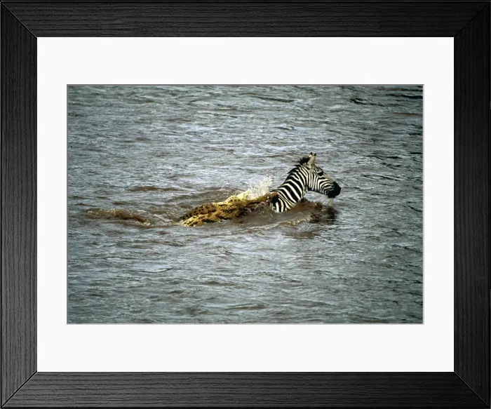 Framed Print : Picture No. 10775118 Framed Print : Picture No. 10775118