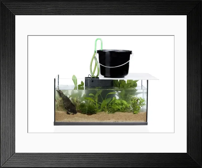 Framed Print : Picture No. 10774536 Framed Print : Picture No. 10774536