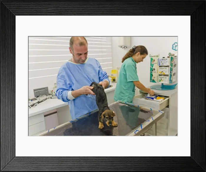 Framed Print : Picture No. 10776570