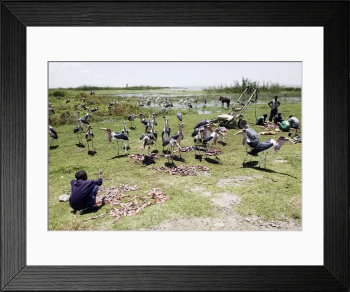 Framed Print : Picture No. 10778977 Framed Print : Picture No. 10778977