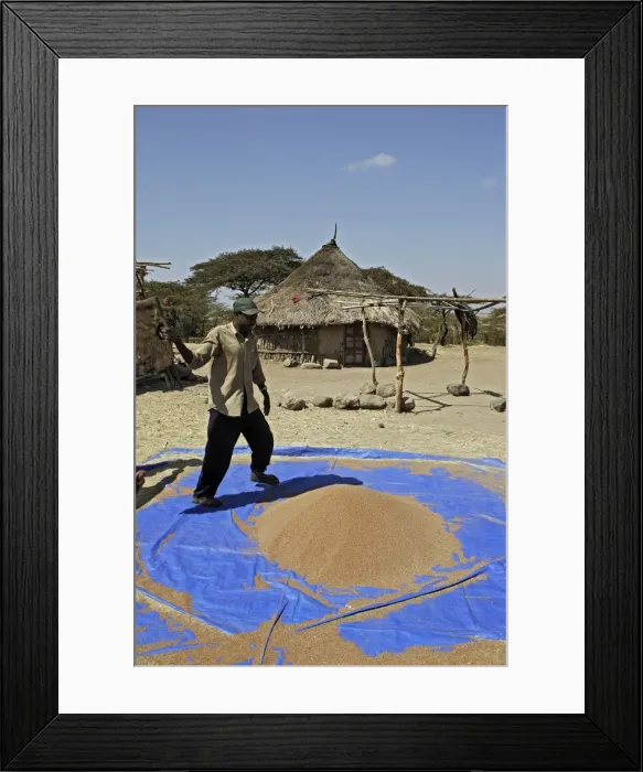 Framed Print : Picture No. 10777561 Framed Print : Picture No. 10777561