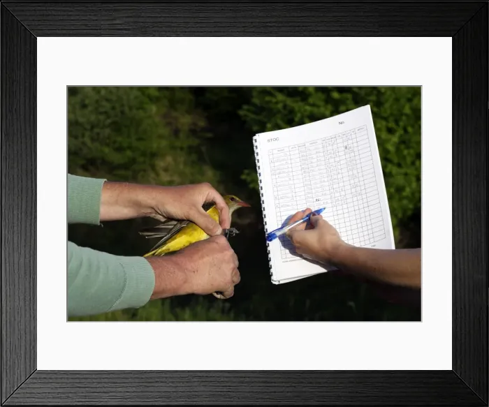 Framed Print : Picture No. 10777712 Framed Print : Picture No. 10777712