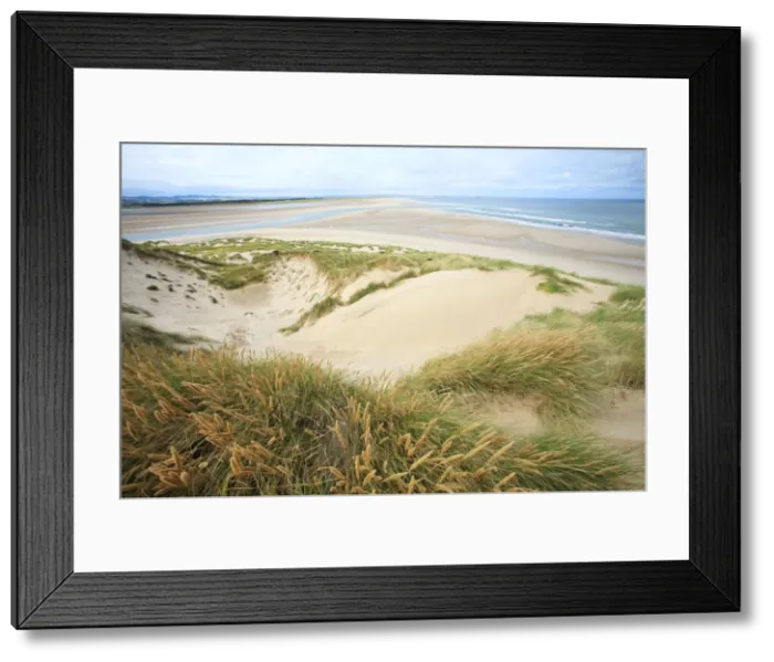Framed Print : Picture No. 10791302 Framed Print : Picture No. 10791302