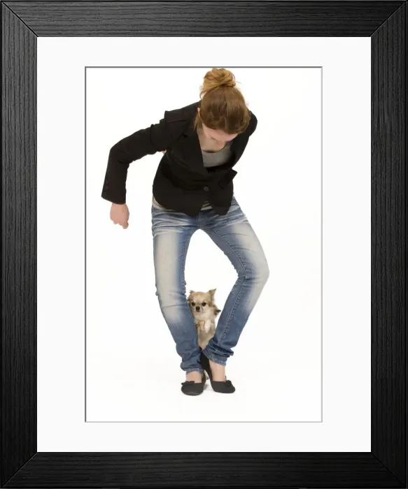 Framed Print : Picture No. 10775899
