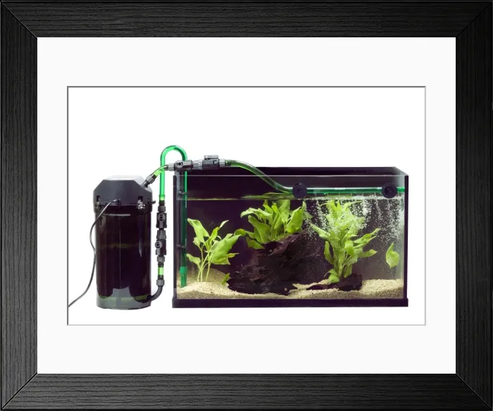 Framed Print : Picture No. 10774535 Framed Print : Picture No. 10774535