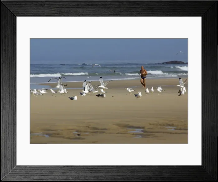 Framed Print : Picture No. 10789173 Framed Print : Picture No. 10789173