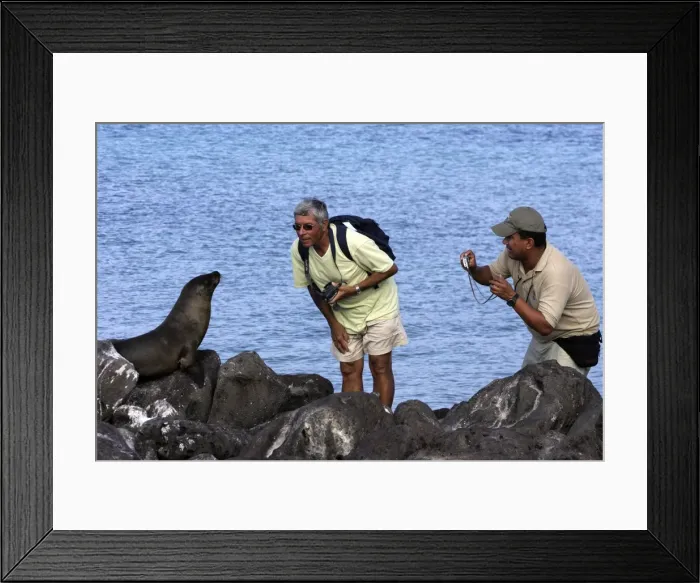 Framed Print : Picture No. 10777931 Framed Print : Picture No. 10777931