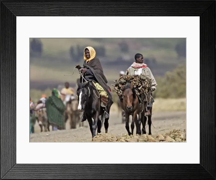 Framed Print : Picture No. 10777522 Framed Print : Picture No. 10777522