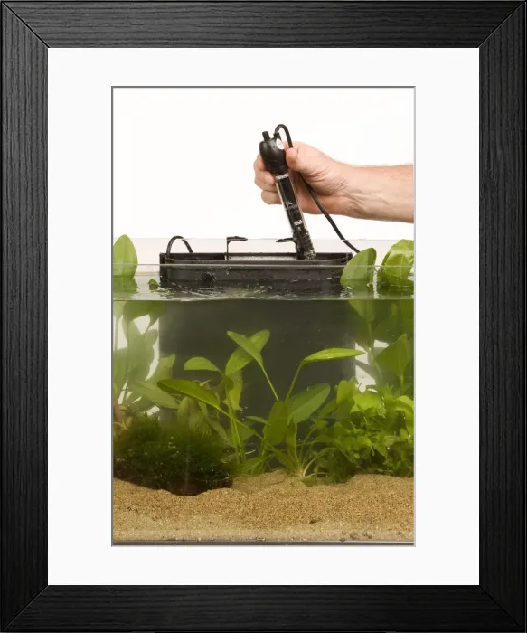 Framed Print : Picture No. 10774540 Framed Print : Picture No. 10774540