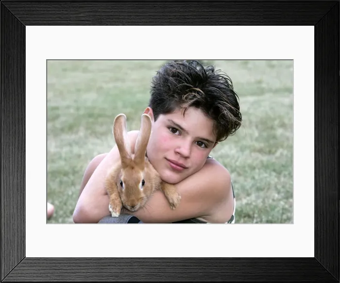 Framed Print : Picture No. 10787314 Framed Print : Picture No. 10787314
