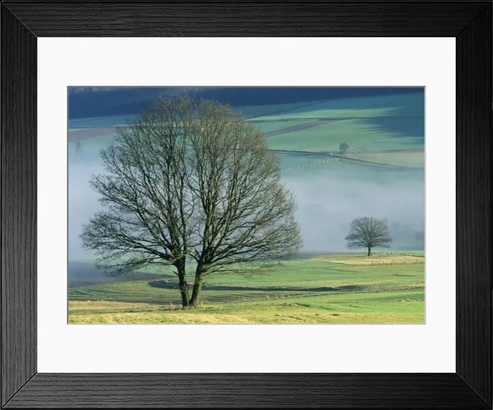 Framed Print : Picture No. 10791493 Framed Print : Picture No. 10791493