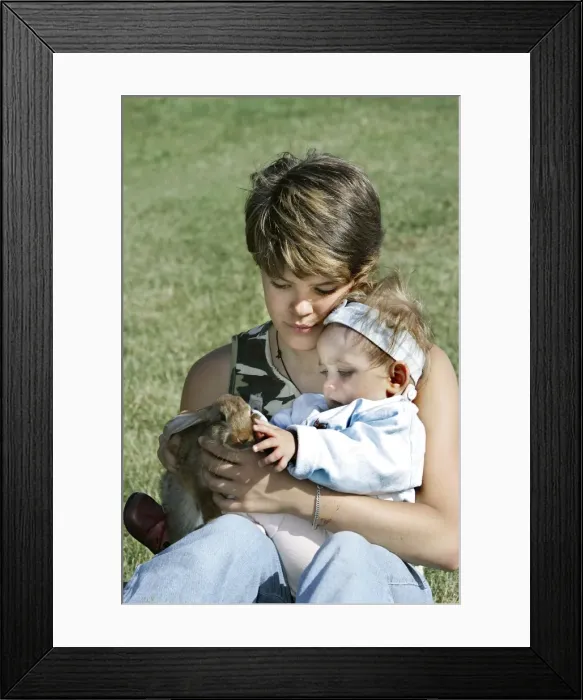 Framed Print : Picture No. 10787313