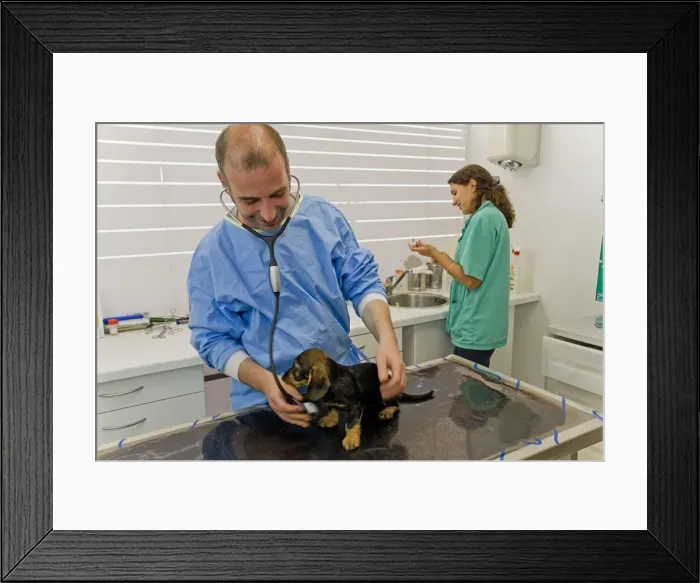 Framed Print : Picture No. 10776572 Framed Print : Picture No. 10776572