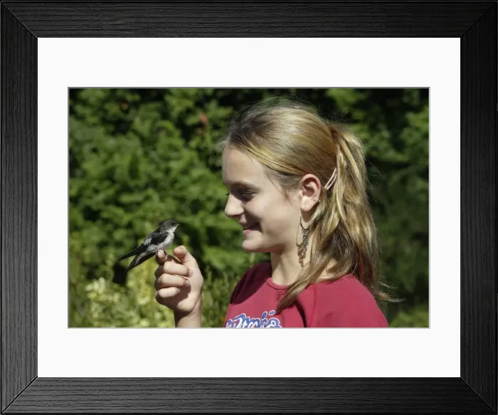Framed Print : Picture No. 10789214 Framed Print : Picture No. 10789214
