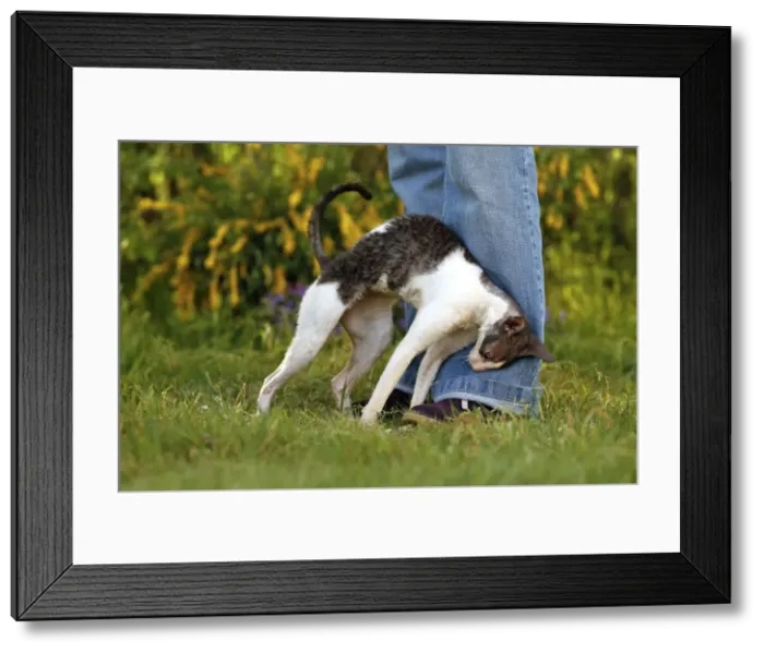 Framed Print : Picture No. 10776793 Framed Print : Picture No. 10776793