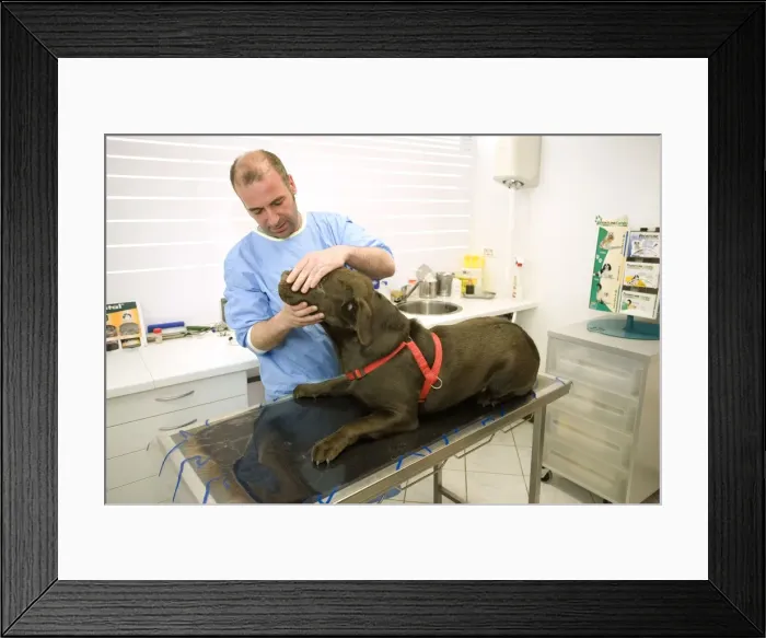 Framed Print : Picture No. 10776606 Framed Print : Picture No. 10776606