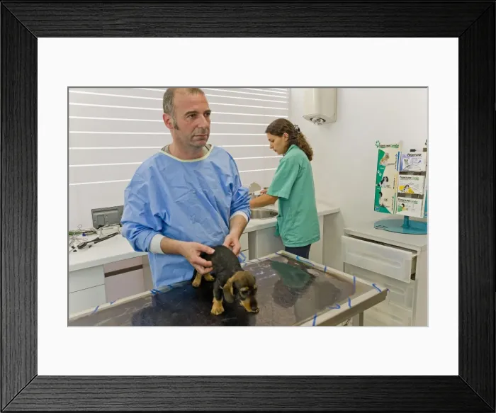 Framed Print : Picture No. 10776571 Framed Print : Picture No. 10776571