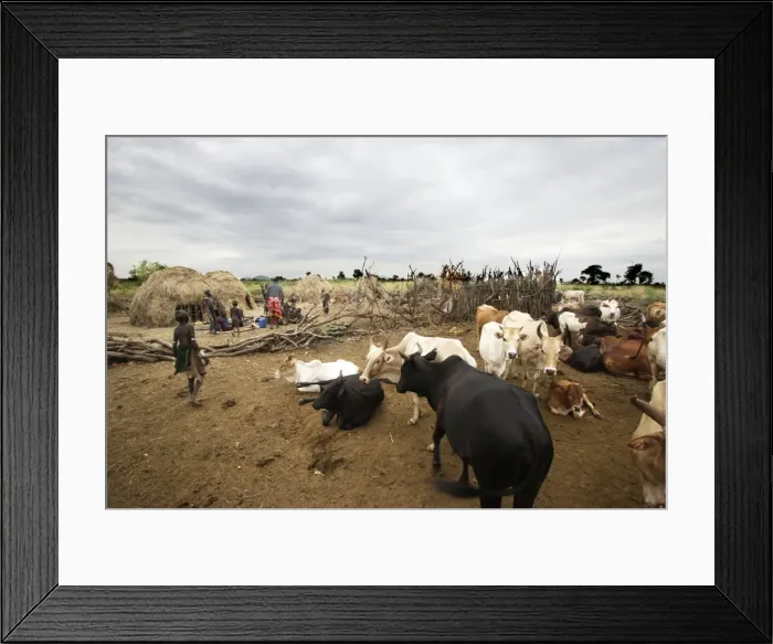 Framed Print : Picture No. 10778985 Framed Print : Picture No. 10778985