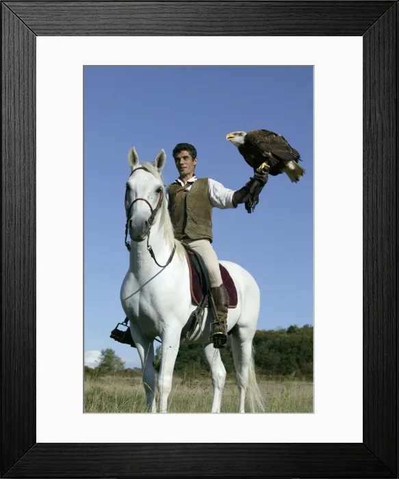 Framed Print : Picture No. 10787280 Framed Print : Picture No. 10787280